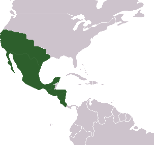 Imperio Mexicano (siglo XIX)
